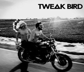 tweak-bird.jpg