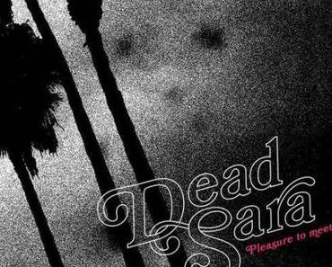 Dead Sara – Pleasure To Meet You