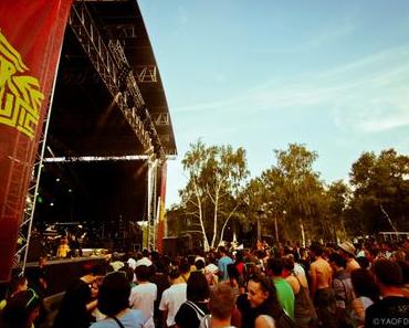 Free Music Festival : Le Phénix renaît de ses cendres pour la troisième fois