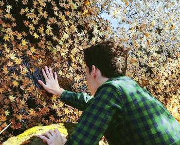 The View Electrical – Roseland