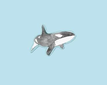 Safia Nolin – Limoilou : Snorkeling en eaux profondes