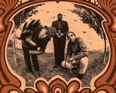 Brown et fier de l’être