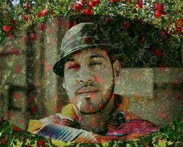 Le buffet : Boogat dans un verger de Lobo