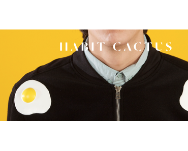 Habit Cactus : Patch Up Your Life