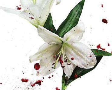 wallpaper-1689754