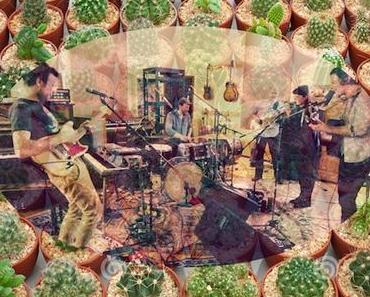 Le buffet : déferlement de cactus avec Plants and Animals