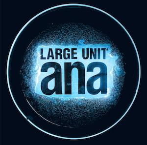 Large Unit