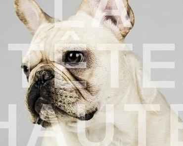 Jonathan Painchaud, l’amant des lettres