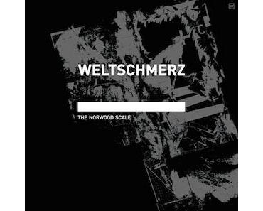 Weltschmerz