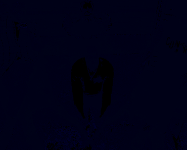 10 questions absurdes à We Are Wolves