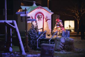 Noël dans le parc/Photo: Maxime Plantady