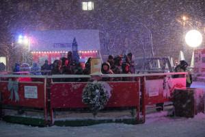 Noël dans le parc/Photo: Maxime Plantady