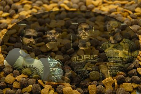 Le buffet : Festin canin pour Malamute malamute