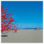 FOCUS SUR STORM THORGERSON