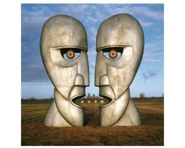 FOCUS SUR STORM THORGERSON