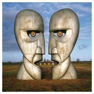 FOCUS SUR STORM THORGERSON