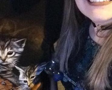 Le festival du douche pré-pubère de Québec