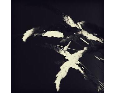 wallpaper-1689754