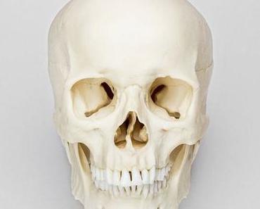 Rich Aucoin, toujours aussi dépaysant