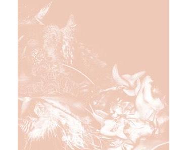 wallpaper-1689754