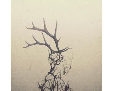 wallpaper-1689754