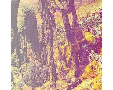 wallpaper-1689754