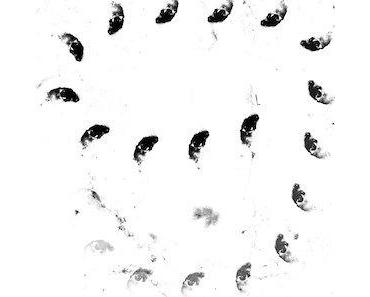 wallpaper-1689754