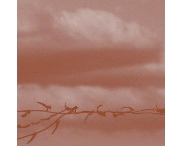 wallpaper-1689754