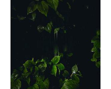 wallpaper-1689754