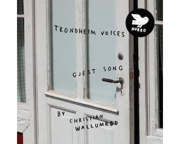 Trondheim Voices